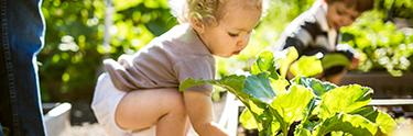 Small child in diapers squatting down and grabbing plant