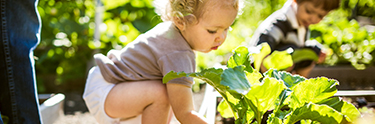Small child in diapers squatting down and grabbing plant